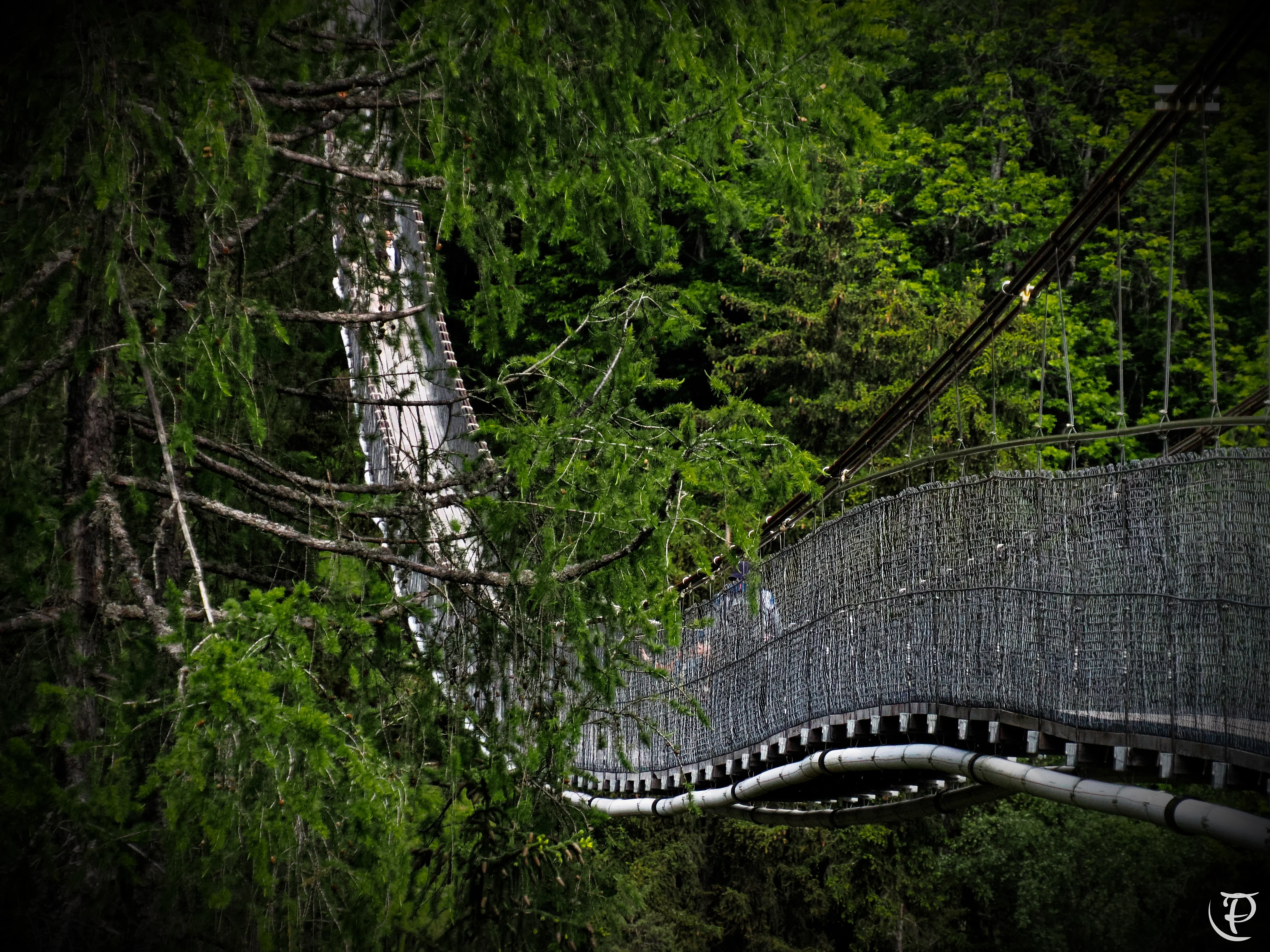 240608_Ernen_dxo_ftp (4)