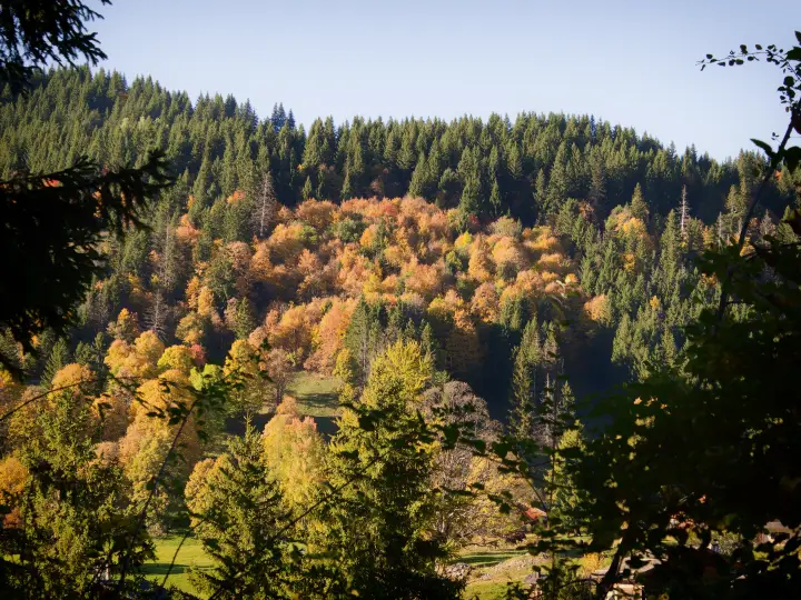 PA120995_Nik